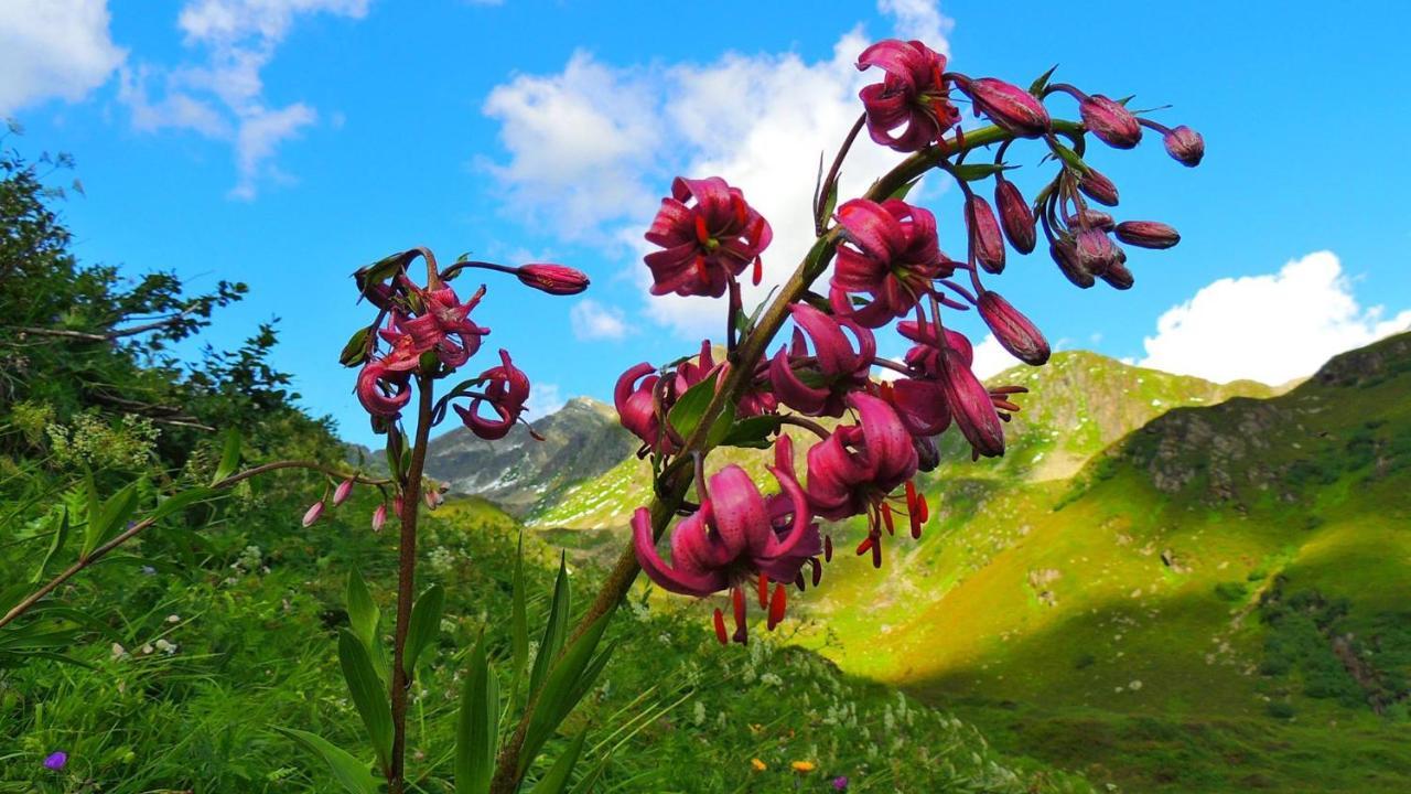 Haus Lifinar - Carmen Juen Daire Sankt Gallenkirch Dış mekan fotoğraf